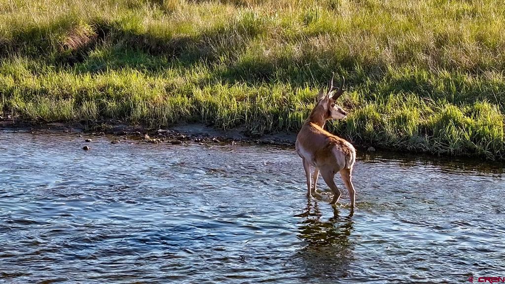 9173 Highway 24 Property Photo 15