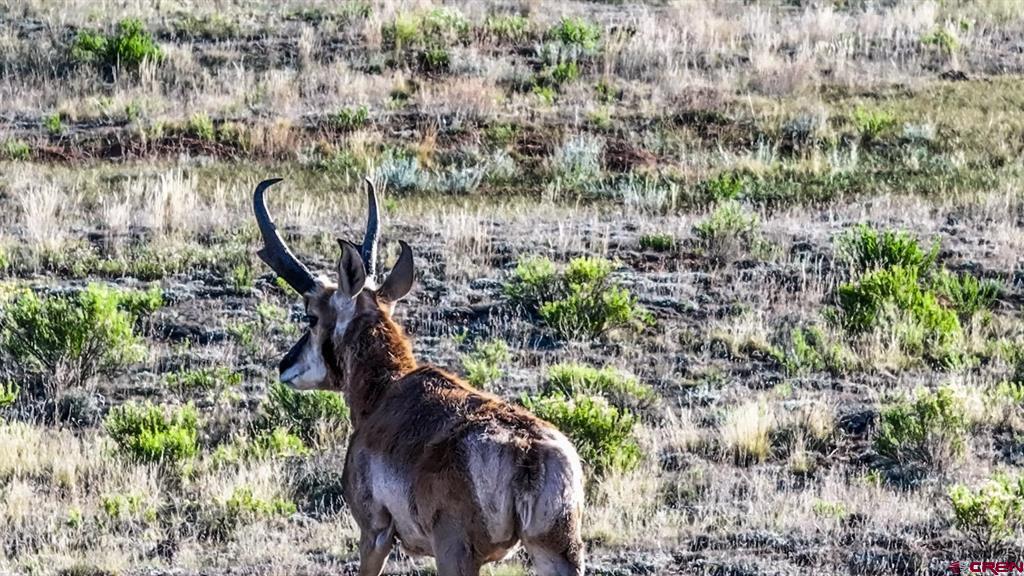 9173 Highway 24 Property Photo 17