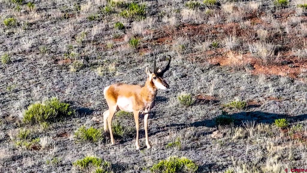 9173 Highway 24 Property Photo 18