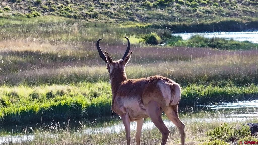 9173 Highway 24 Property Photo 20