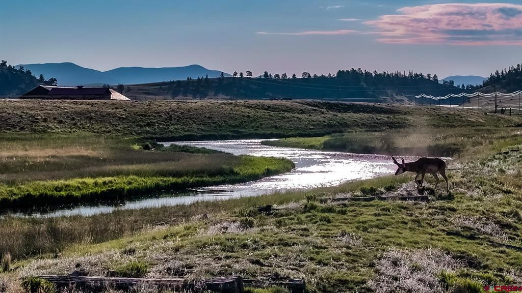 9173 Highway 24 Property Photo 22