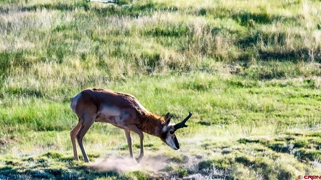 9173 Highway 24 Property Photo 23