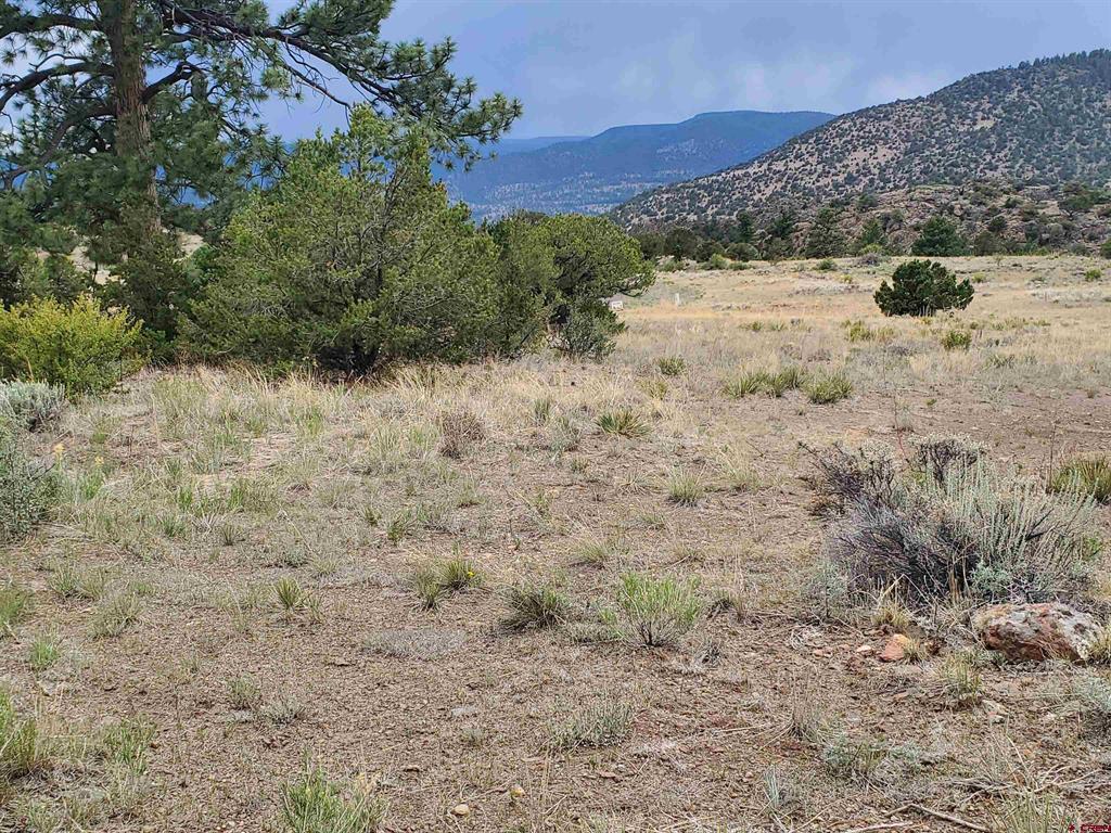 4055 Bear Creek Circle Property Photo 7