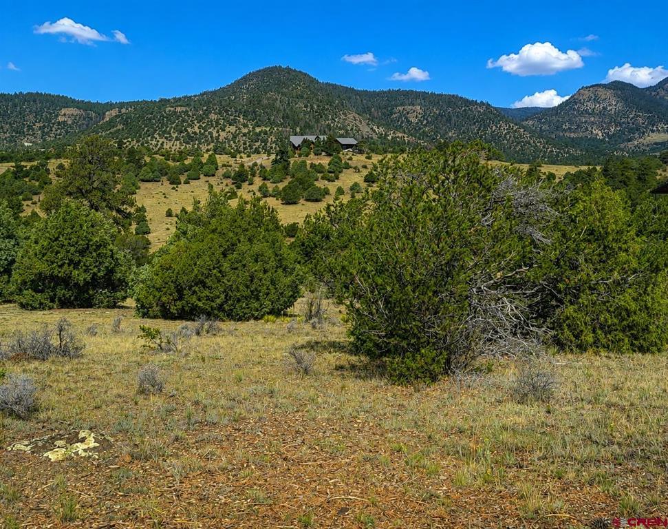4055 Bear Creek Circle Property Photo 10