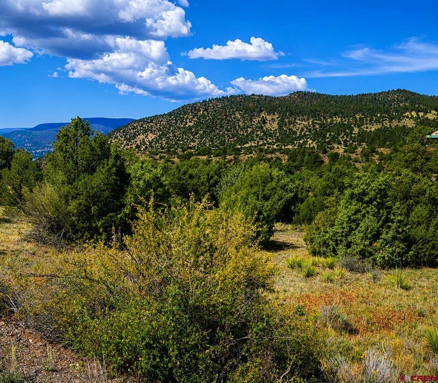 4055 Bear Creek Circle Property Photo 11