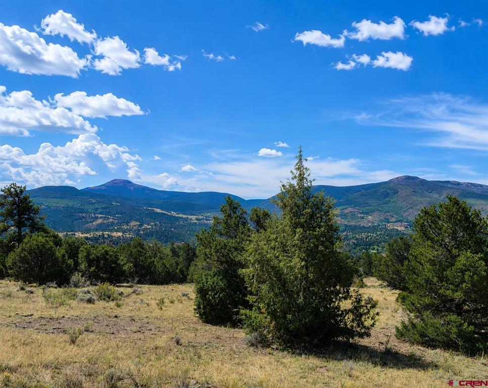 4055 Bear Creek Circle Property Photo 15