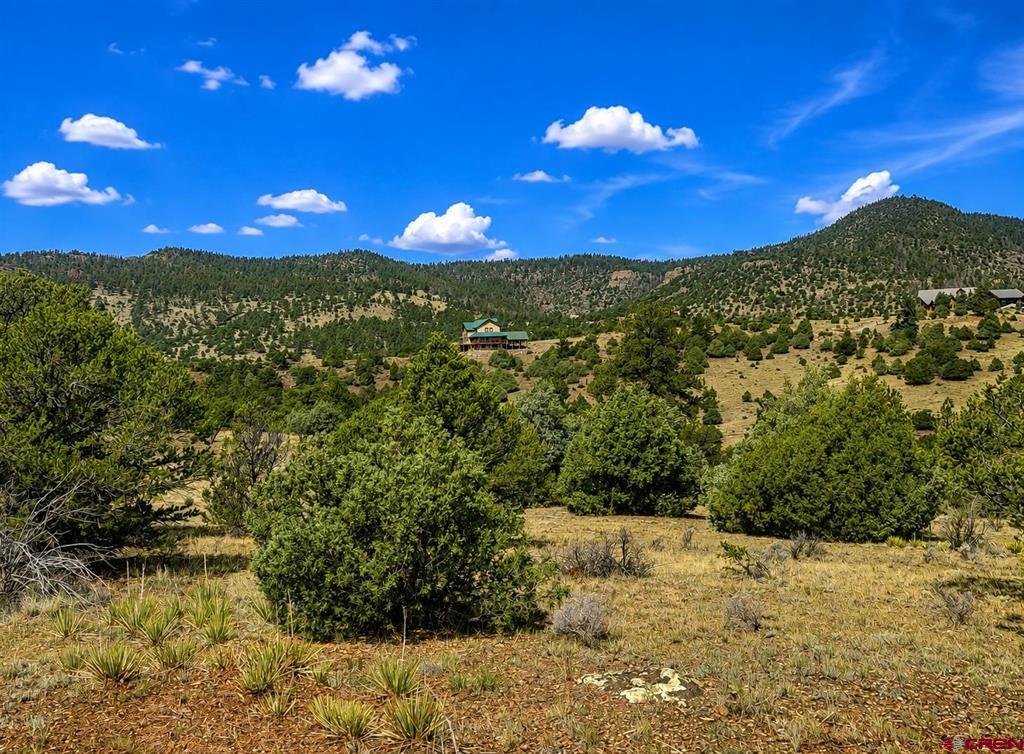 4055 Bear Creek Circle Property Photo 16