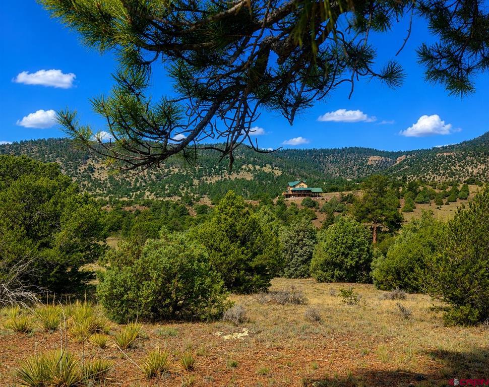 4055 Bear Creek Circle Property Photo 17