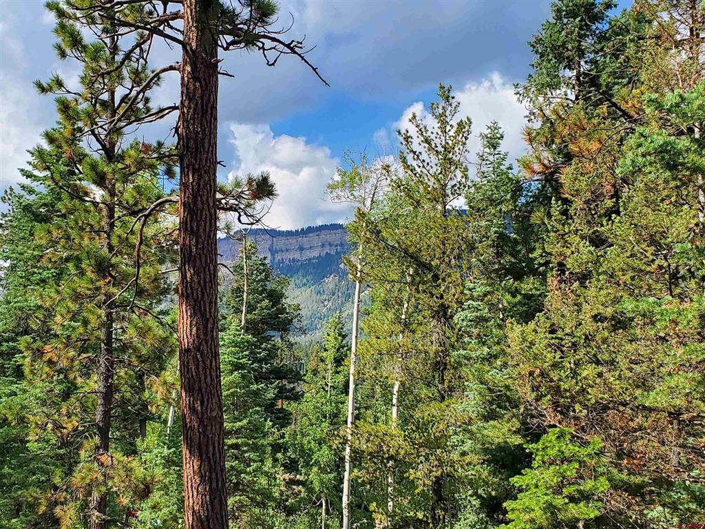 56 Columbine Way Property Photo 5