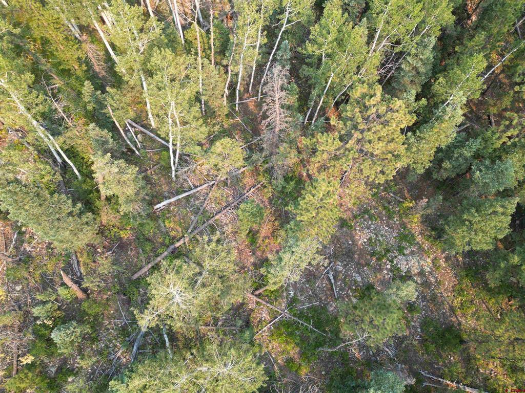 48 Ponderosa Way Property Photo 1