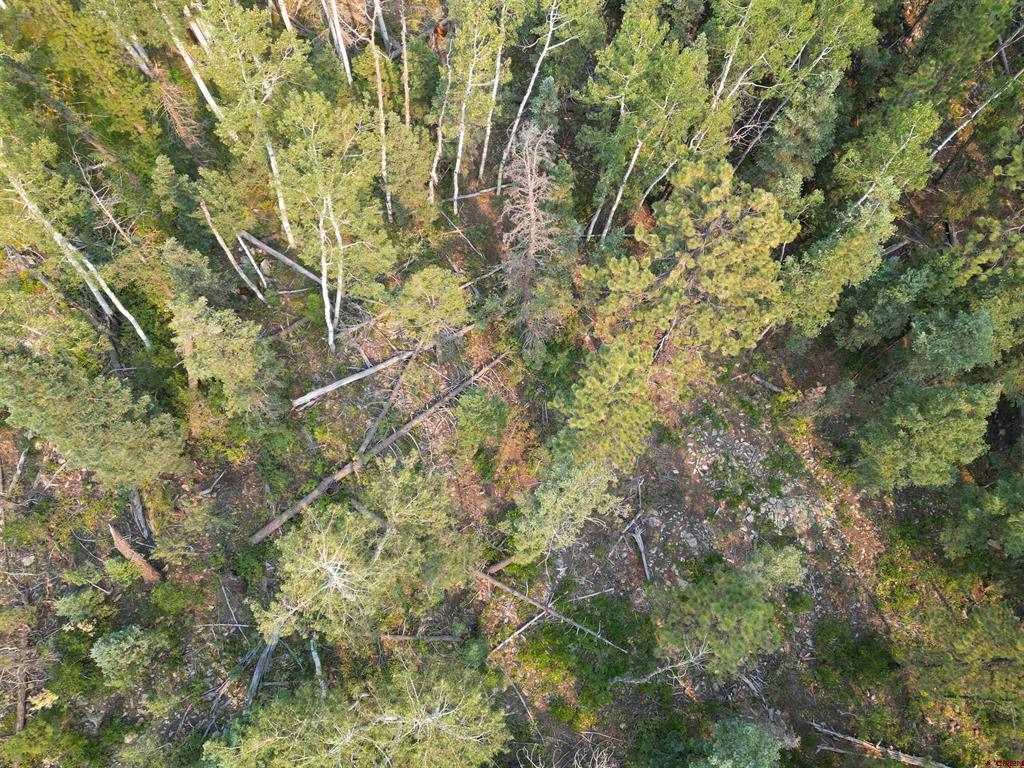 48 Ponderosa Way Property Photo 2