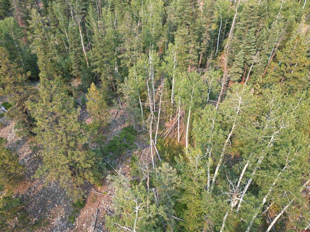 48 Ponderosa Way Property Photo 7