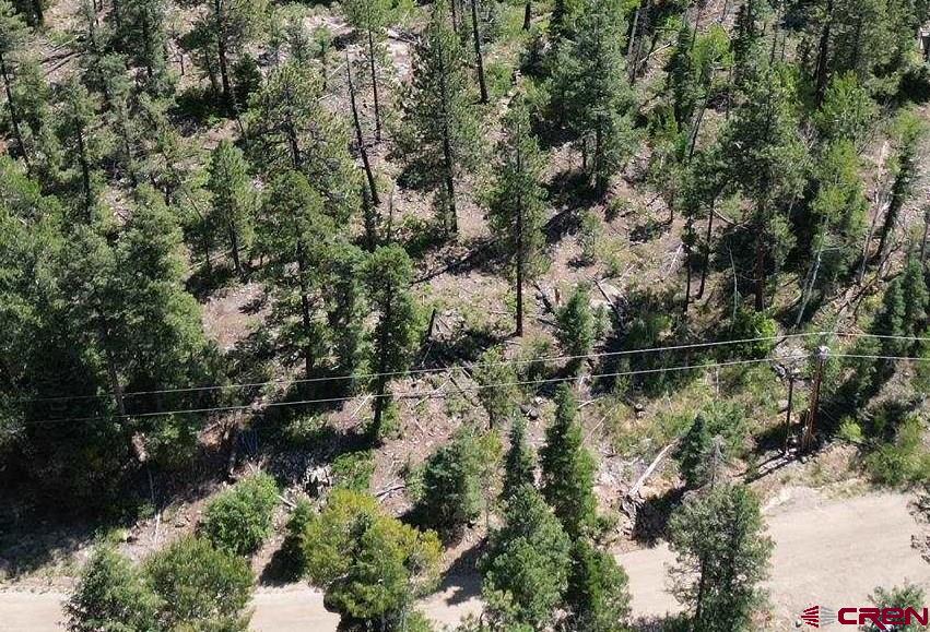 48 Ponderosa Way Property Photo 8