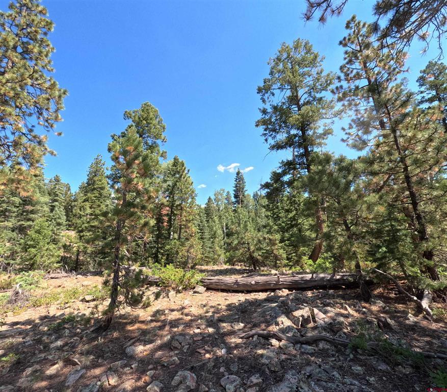 48 Ponderosa Way Property Photo 15