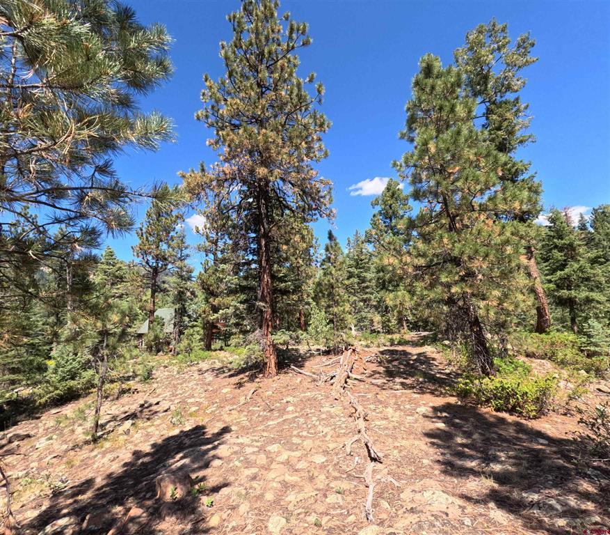 48 Ponderosa Way Property Photo 18