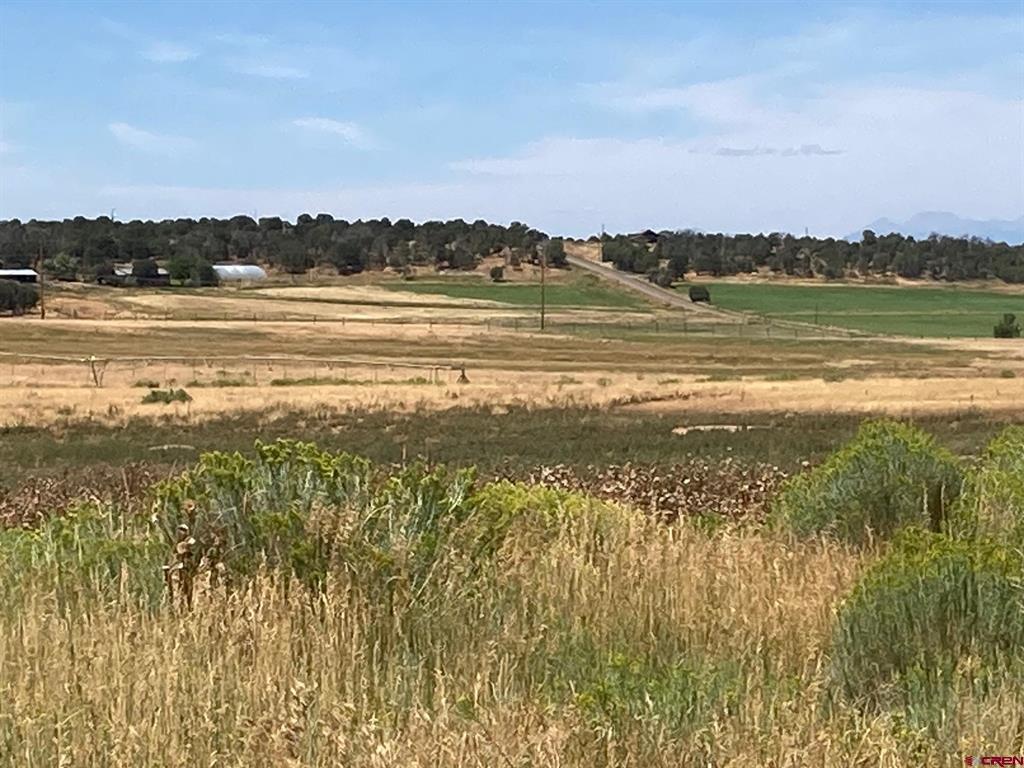 80 Ac Tbd 42zs Road Property Photo 1
