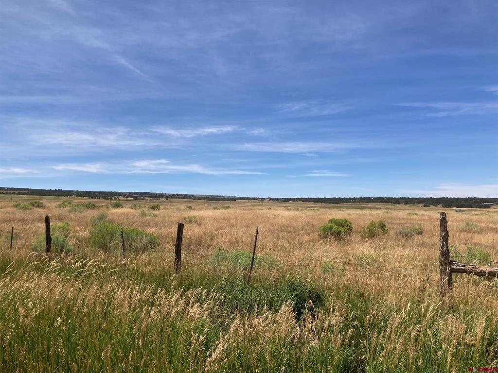 80 Ac Tbd 42zs Road Property Photo 3
