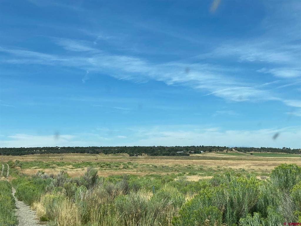 80 Ac Tbd 42zs Road Property Photo 6