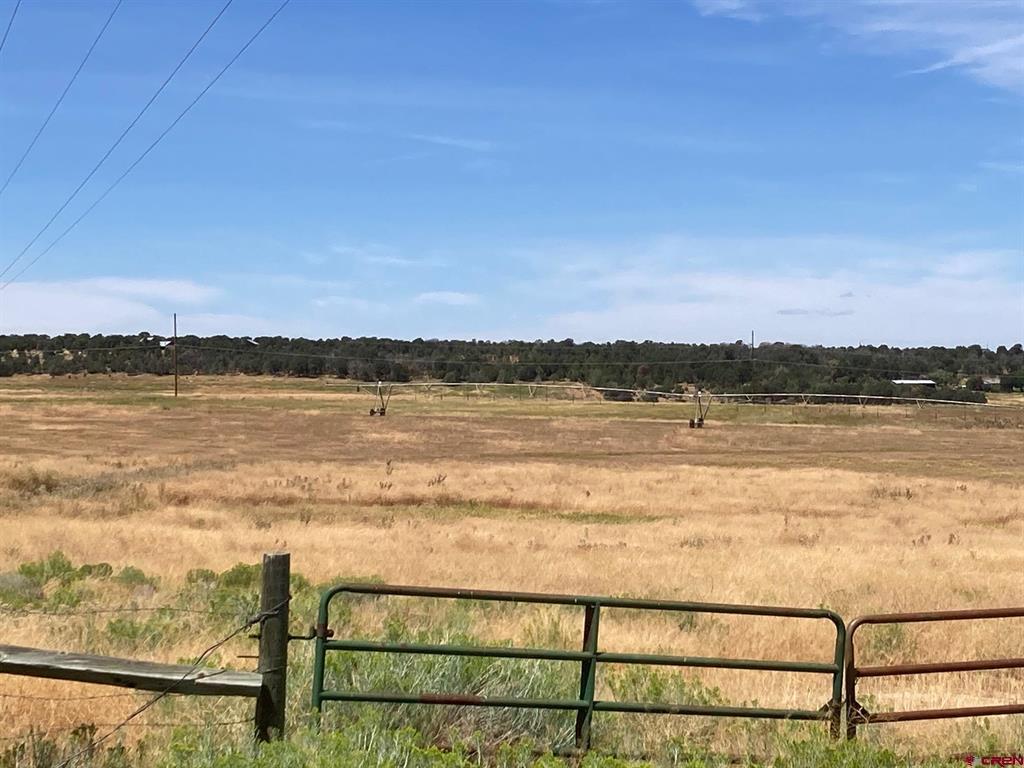 80 Ac Tbd 42zs Road Property Photo 7