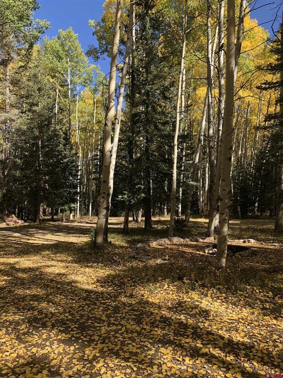 301 Balsam Road Property Photo 3