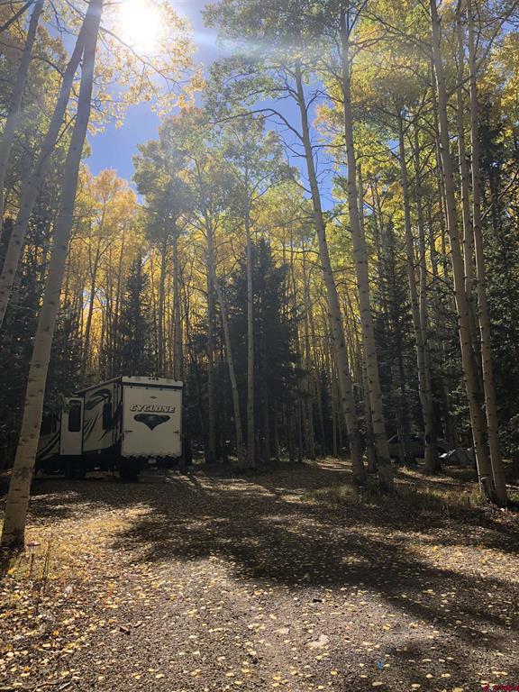 301 Balsam Road Property Photo 4