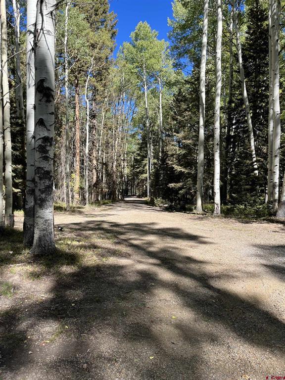 301 Balsam Road Property Photo 5