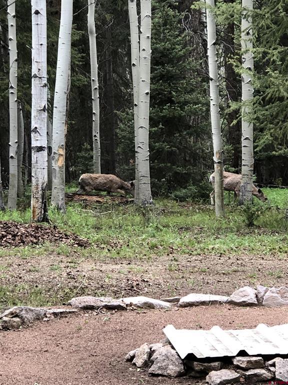 301 Balsam Road Property Photo 9