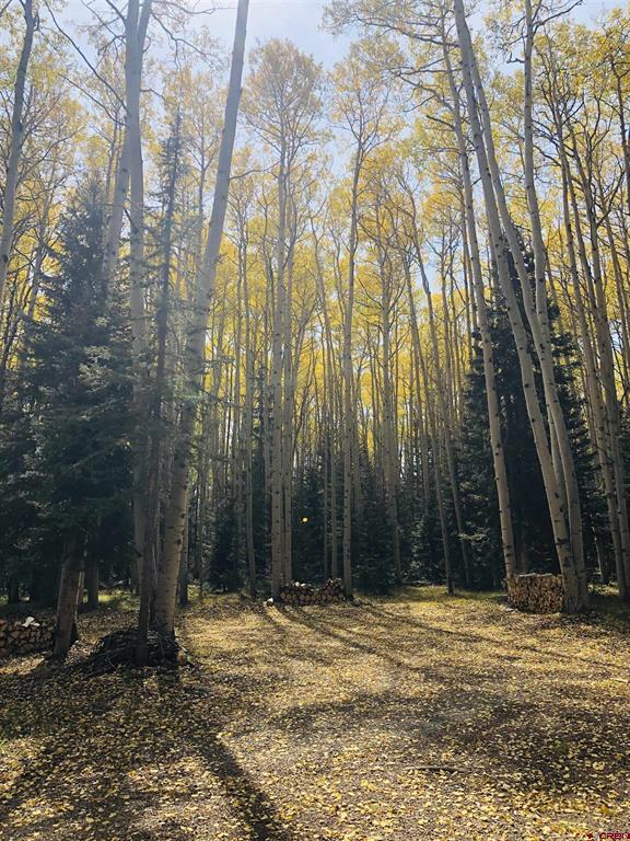 301 Balsam Road Property Photo 10