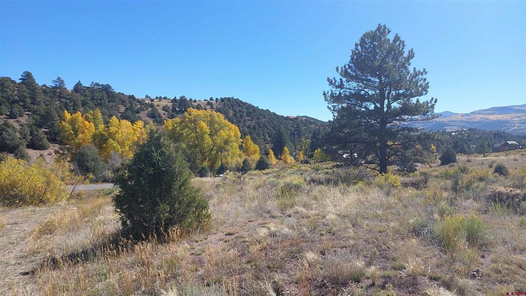 1685 Bear Creek Cir Property Photo 1