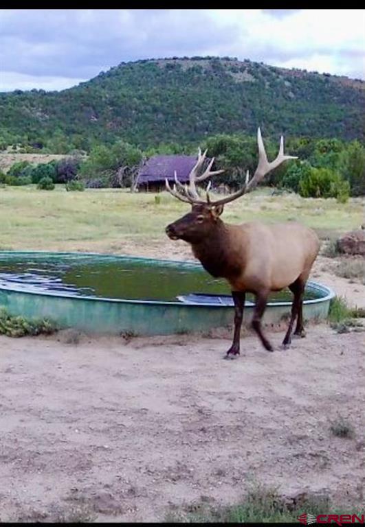 12630 County Road 175 Property Photo 1