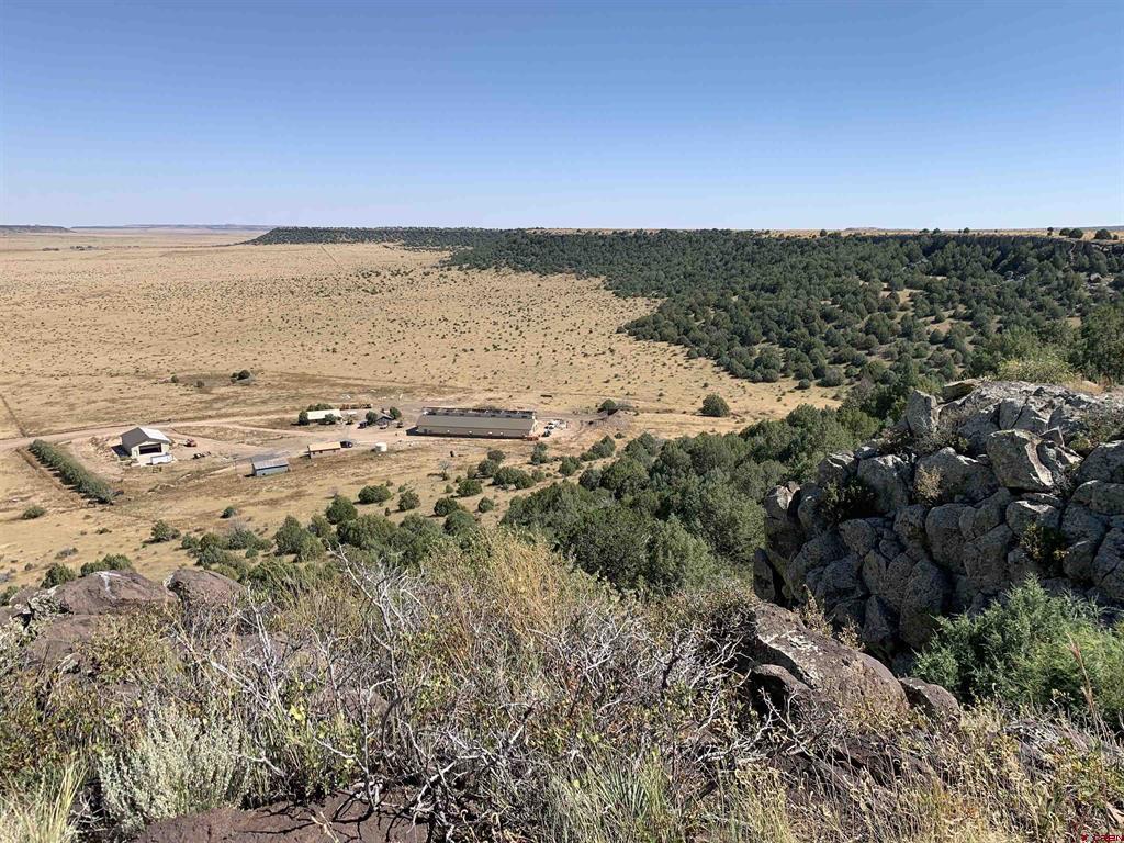 12630 County Road 175 Property Photo 6