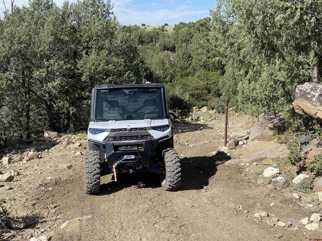 12630 County Road 175 Property Photo 29