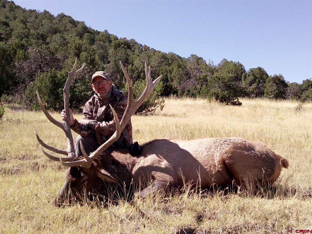 12630 County Road 175 Property Photo 35