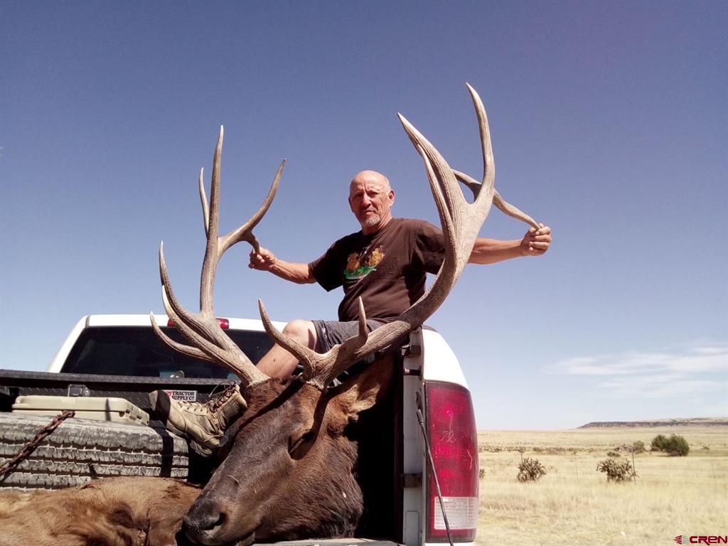 12630 County Road 175 Property Photo 36