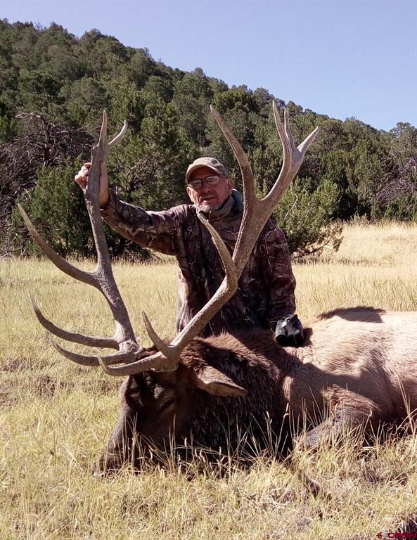 12630 County Road 175 Property Photo 37