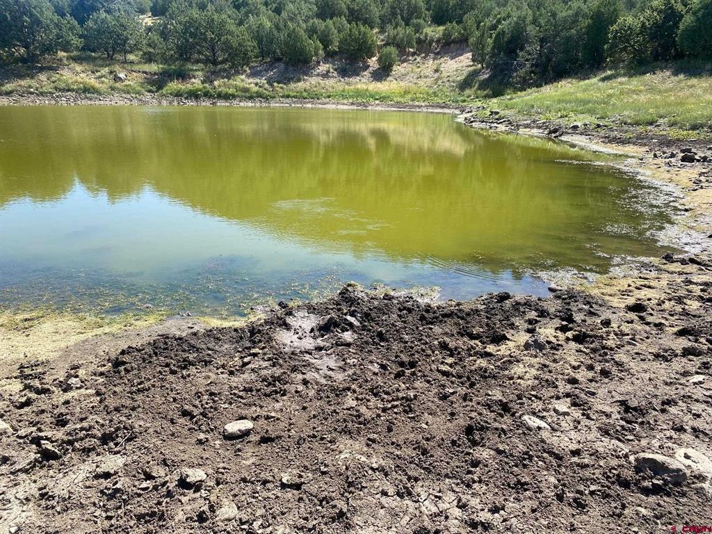 12630 County Road 175 Property Photo 38