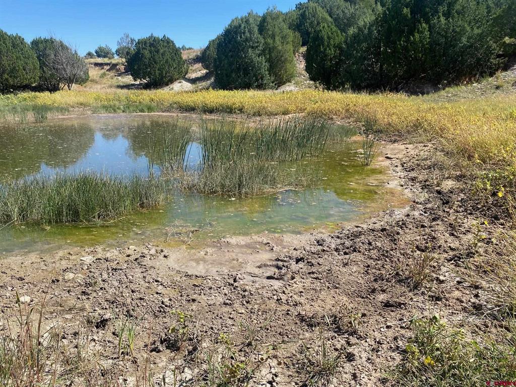 12630 County Road 175 Property Photo 39