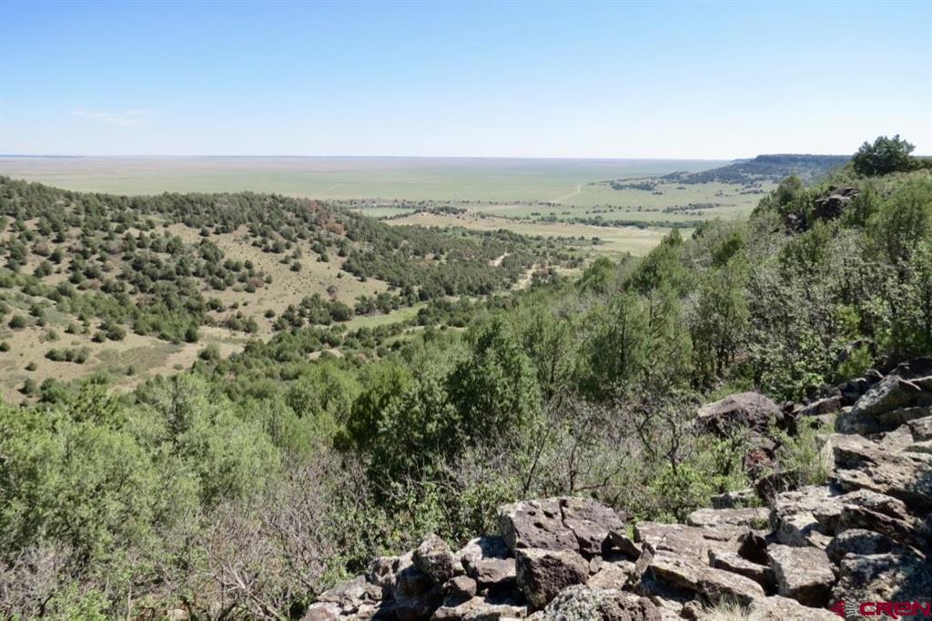 12630 County Road 175 Property Photo 41