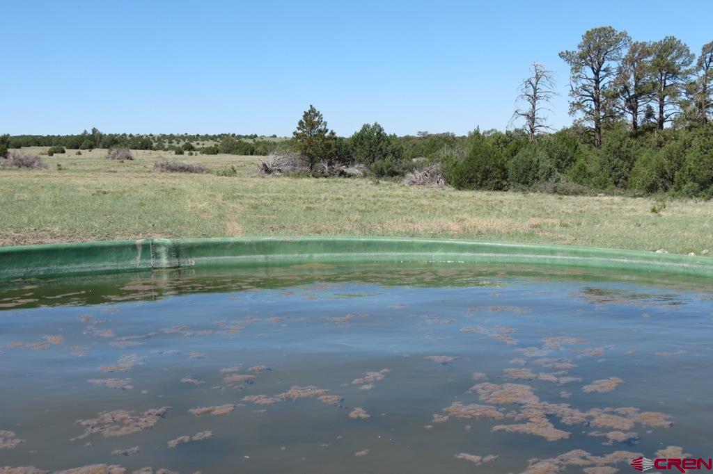 12630 County Road 175 Property Photo 43