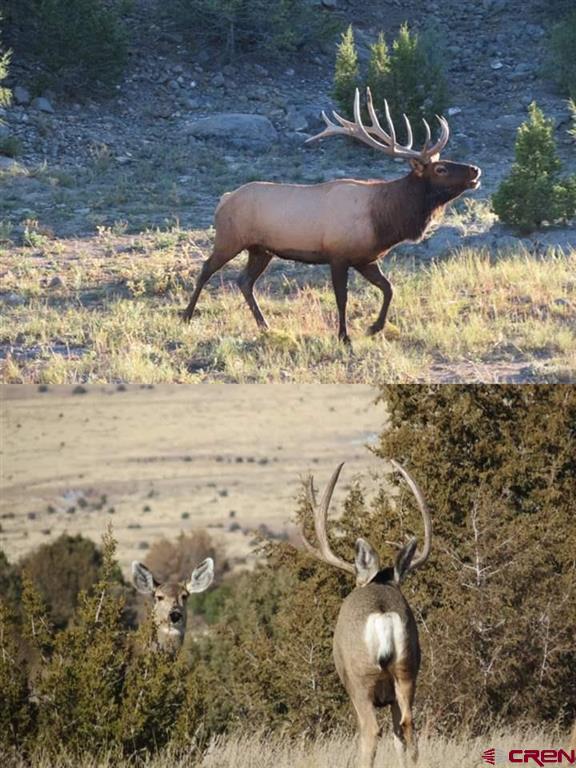 12630 County Road 175 Property Photo 44