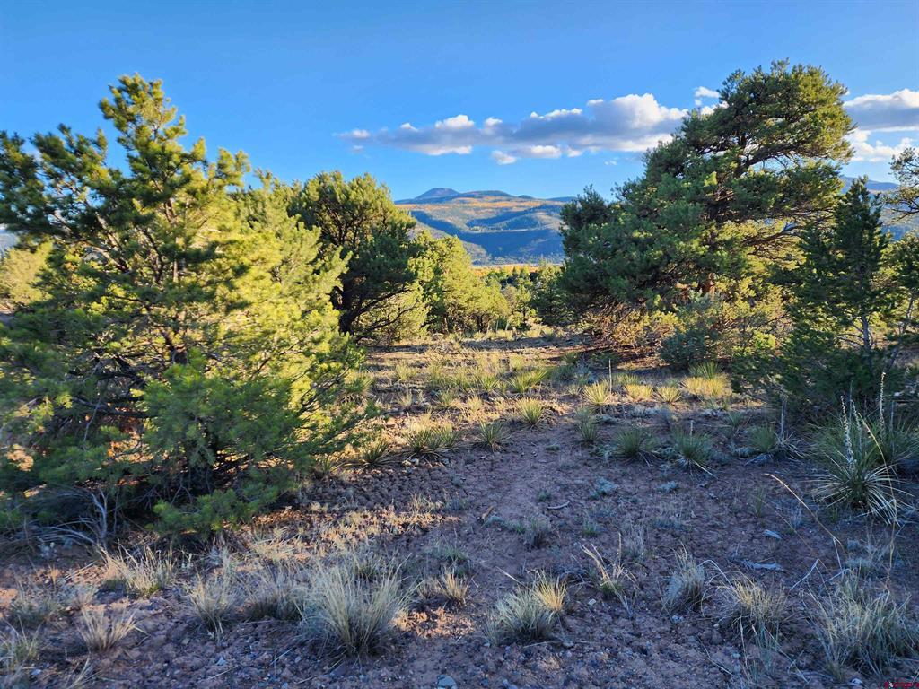 580 Kit Carson Rd Property Photo 1