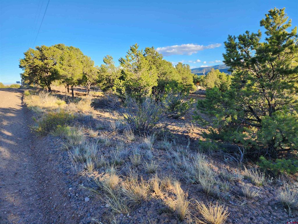 580 Kit Carson Rd Property Photo 3