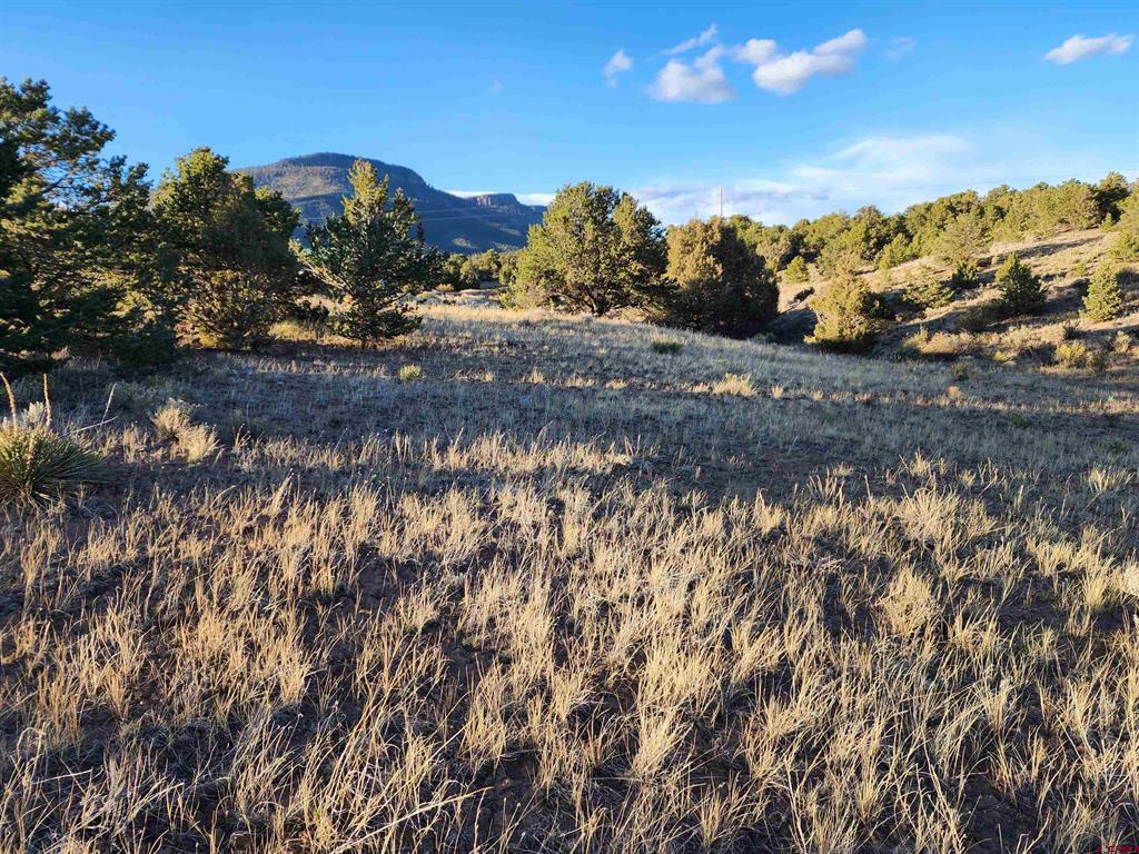 512 Kit Carson Rd Property Photo 1