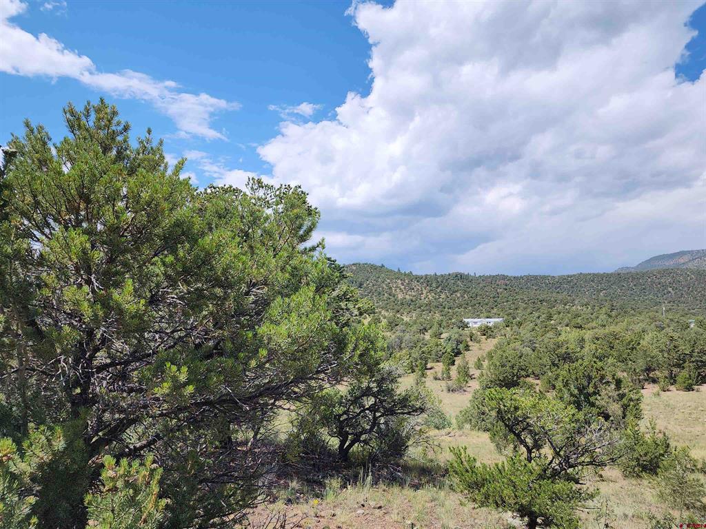 374 Cactus Road Property Photo 1