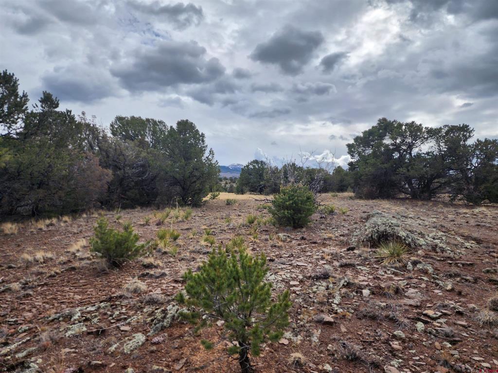 374 Cactus Road Property Photo 3