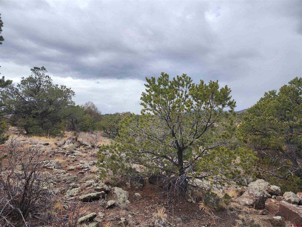 374 Cactus Road Property Photo 6