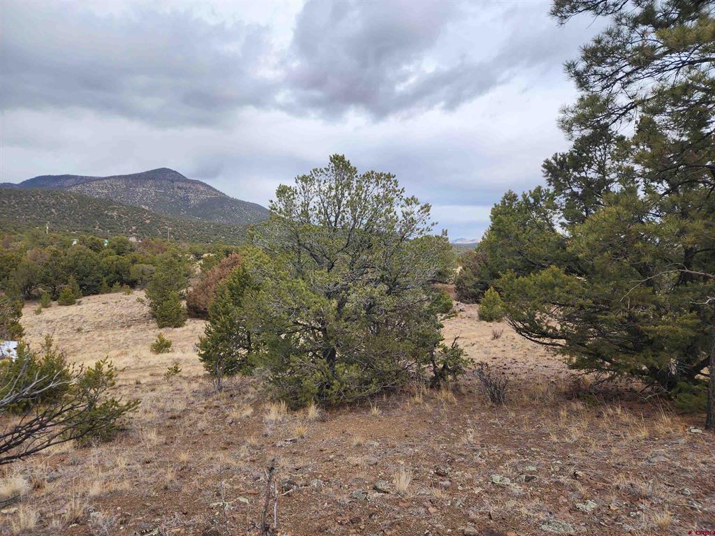 374 Cactus Road Property Photo 7