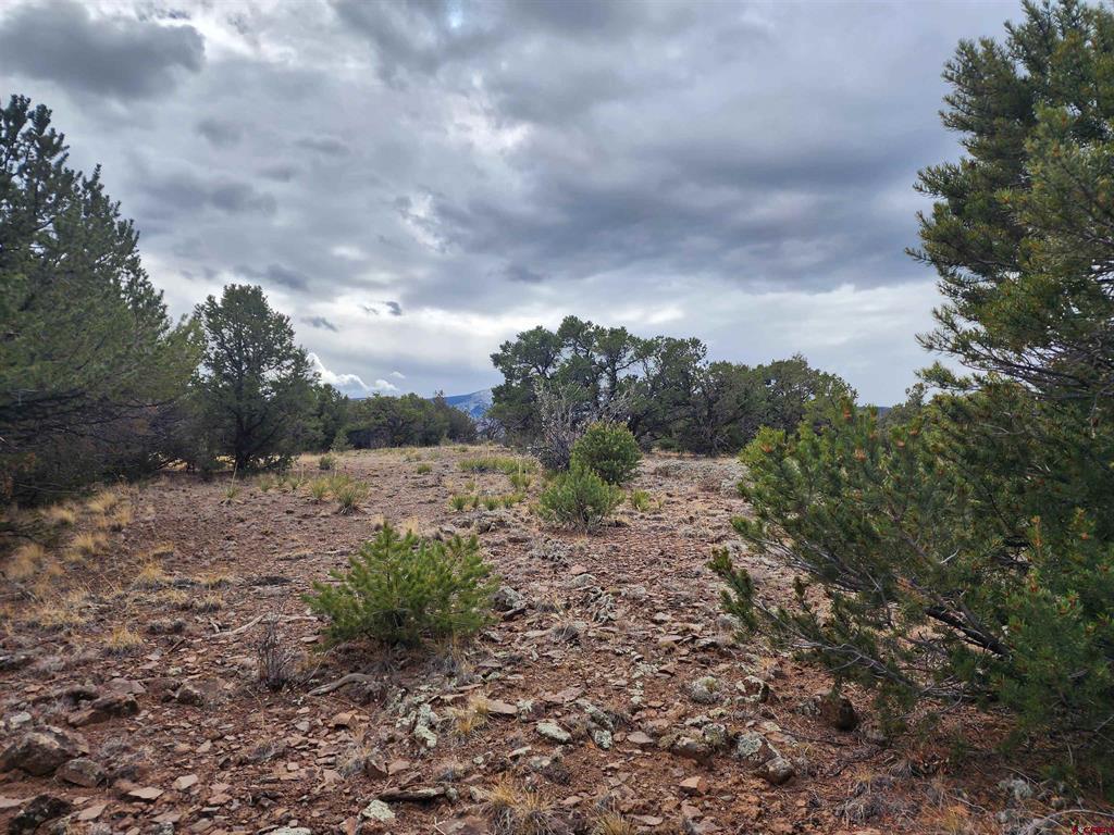 374 Cactus Road Property Photo 8