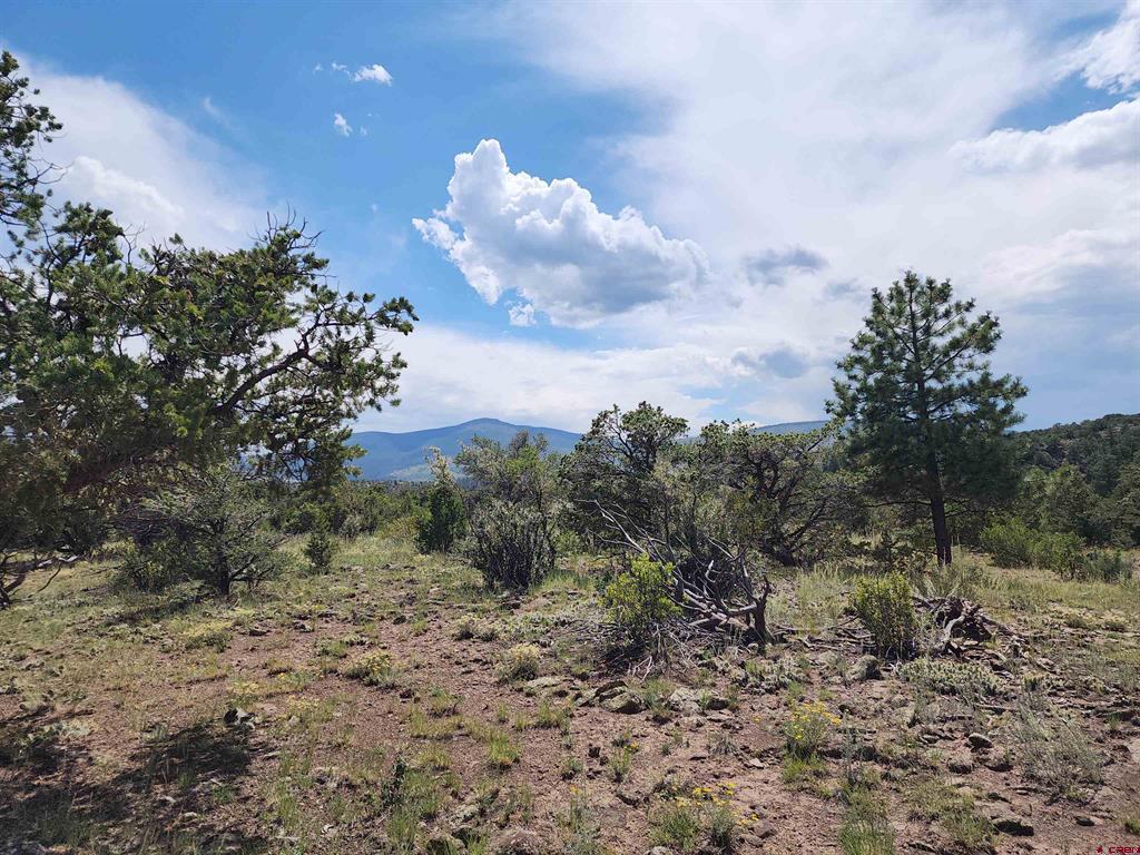 374 Cactus Road Property Photo 11