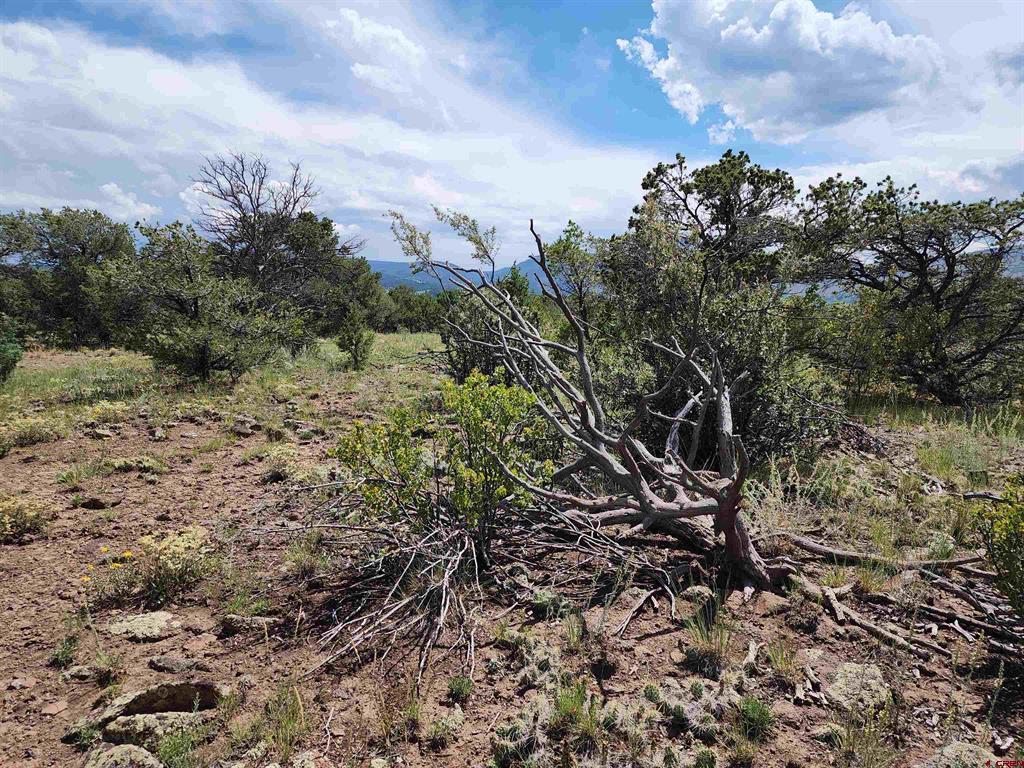 374 Cactus Road Property Photo 12